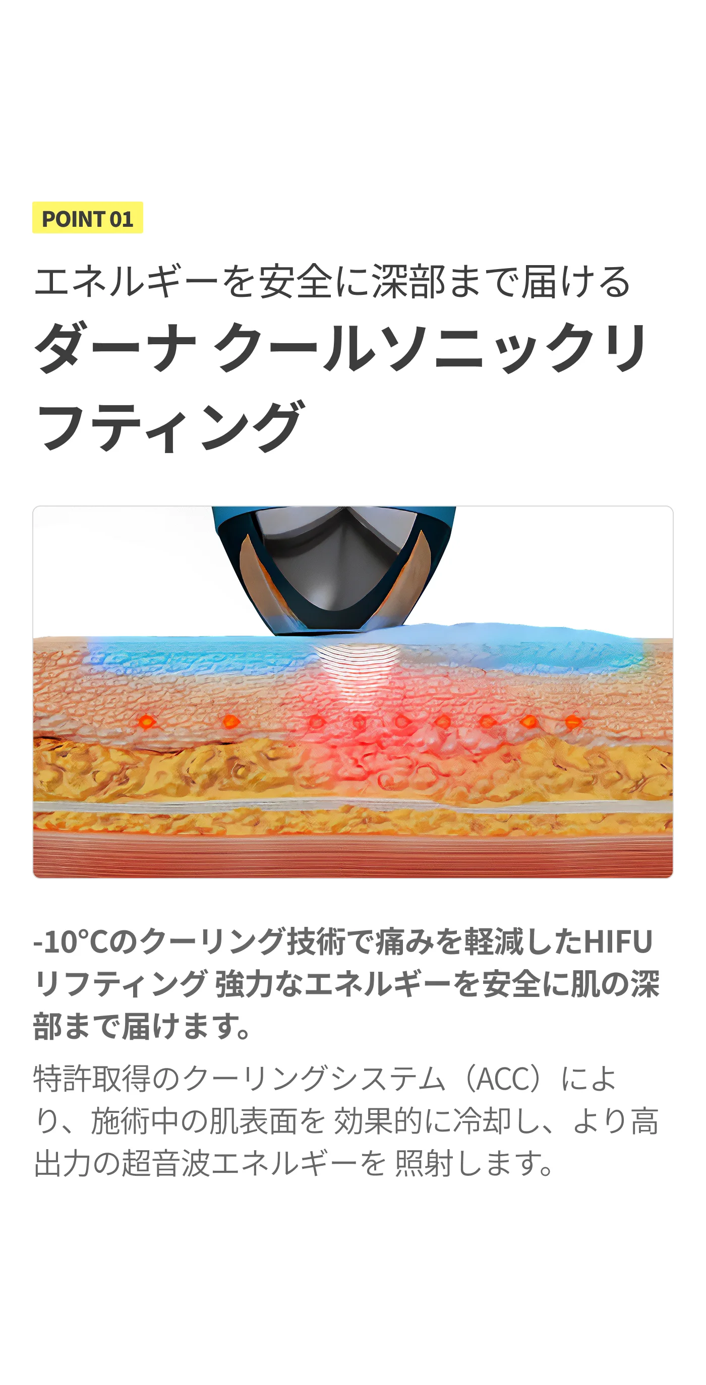 detailImage